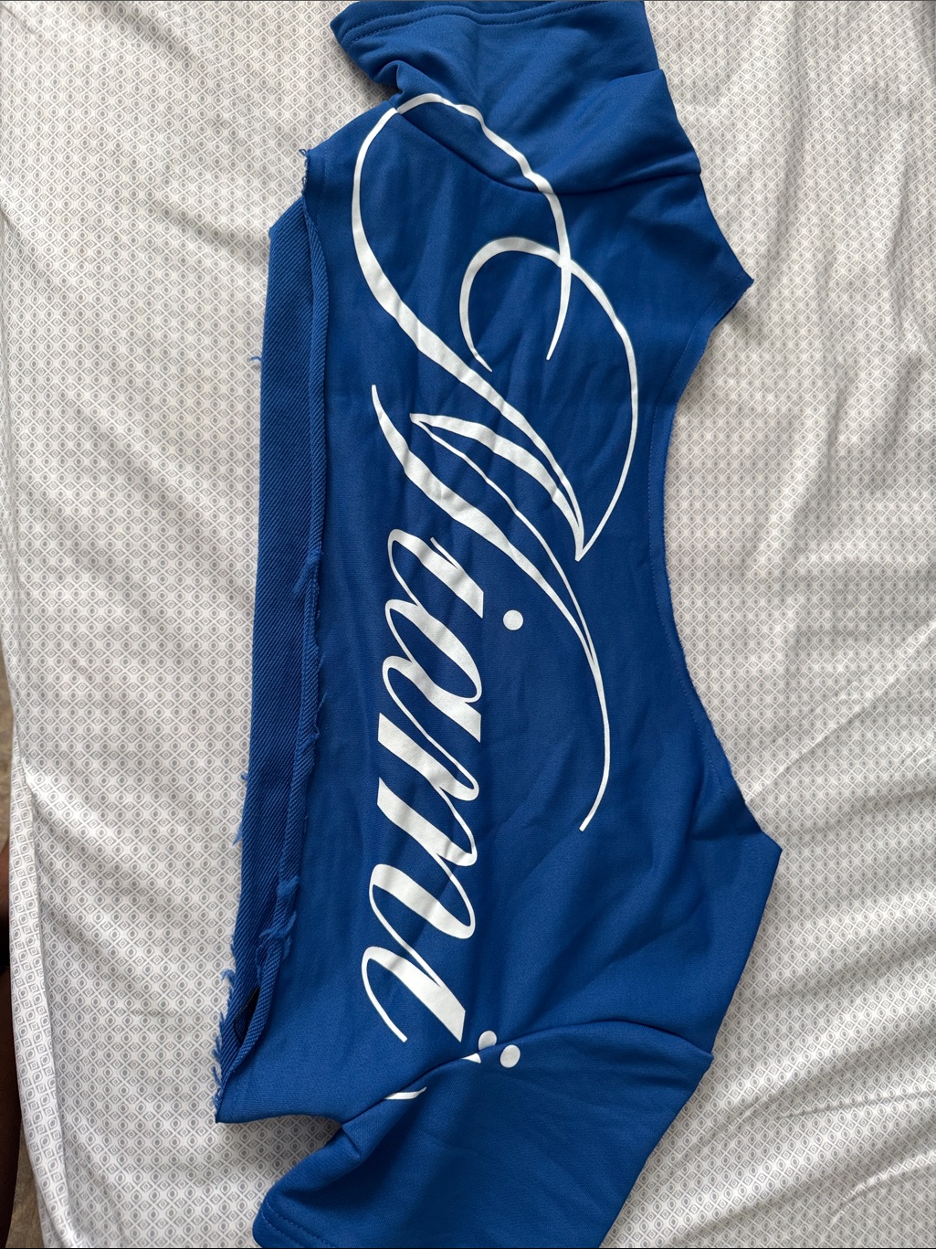 Shein Blue Crop Top With White Script